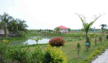 banani resort sunderbans