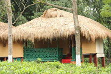 kaziranga nature hunt eco camp