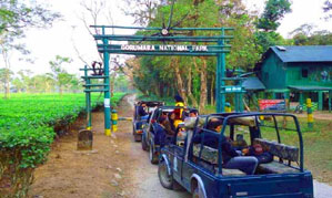 gorumara jeep safari