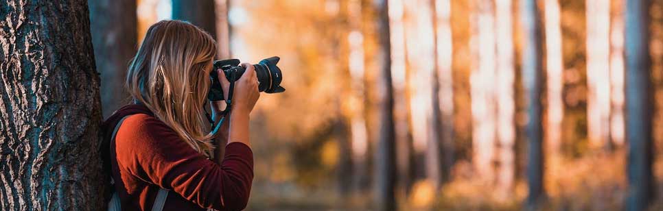 tiger photographing